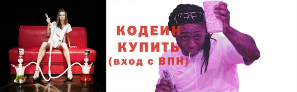 сатива Иннополис