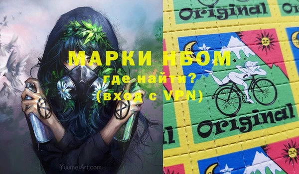 стаф Инсар