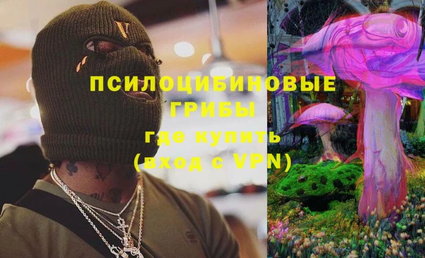 a pvp Инта