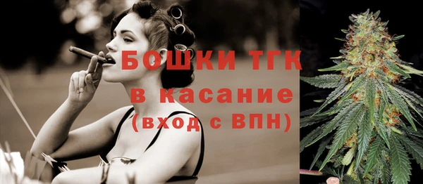 сатива Иннополис