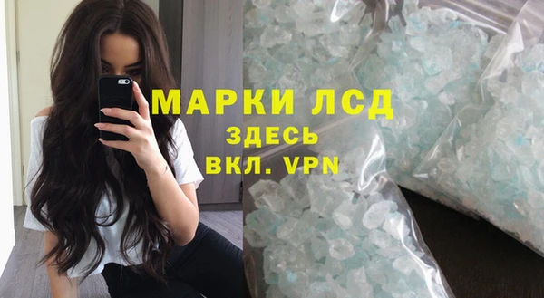 стаф Инсар