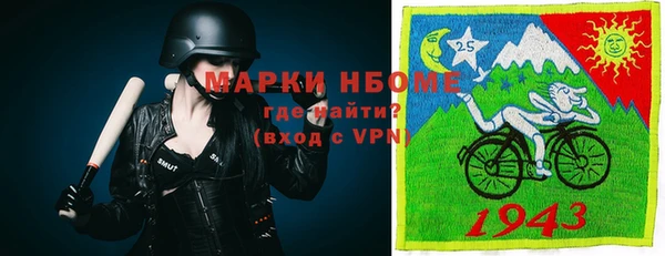 сатива Иннополис