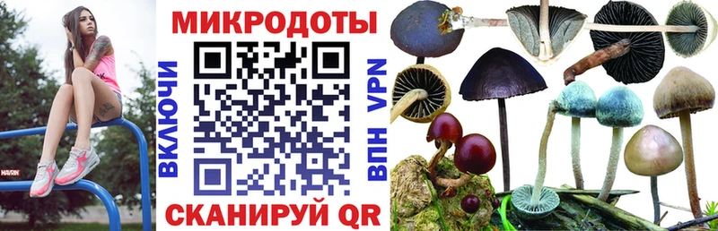Купить  Байкальск  Псилоцибиновые грибы мицелий 